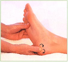 The feet