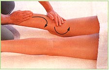 Back of the legs