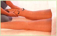 Back of the legs