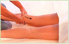 Back of the legs