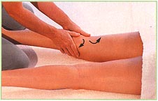 Back of the legs