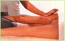 Back of the legs