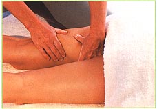 Back of the legs