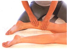 Back of the legs