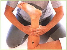 Back of the legs