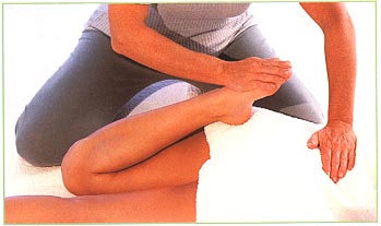 Back of the legs