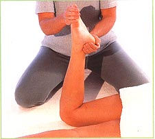 Back of the legs