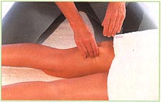 Back of the legs