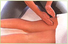 Back of the legs