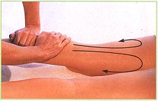 Back of the legs