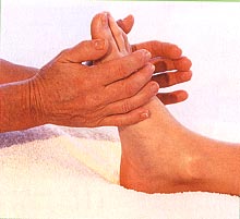 The feet