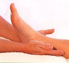 The feet