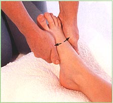 The feet