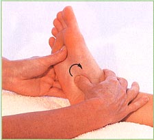 The feet