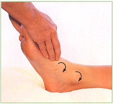 The feet