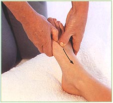 The feet