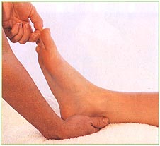 The feet