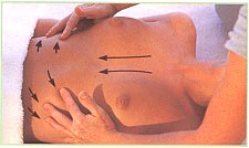 The chest