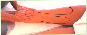 Front of the legs