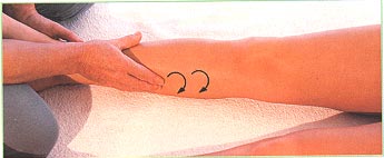 Front of the legs