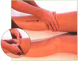 Front of the legs