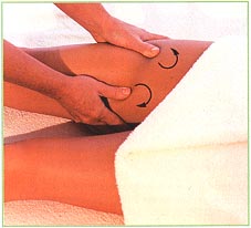 Front of the legs