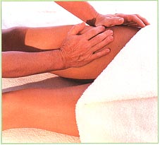 Front of the legs
