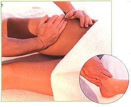 Front of the legs