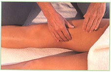 Front of the legs