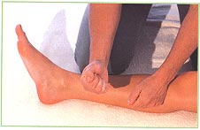 Front of the legs