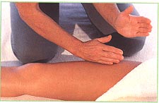 Front of the legs
