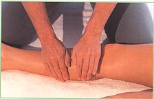 Front of the legs