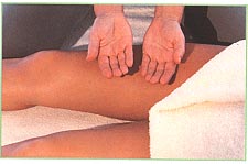 Front of the legs