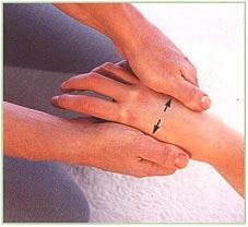 The hands
