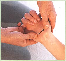 The hands