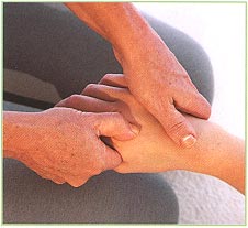The hands