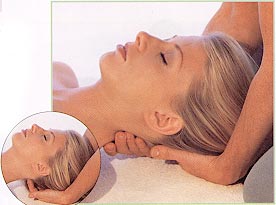 The neck