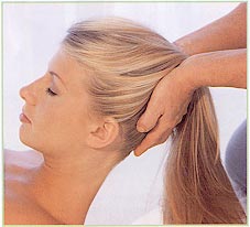 The neck