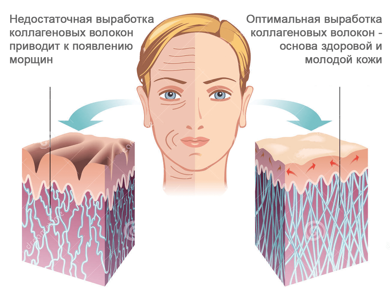 Этапы массажа лица в картинках