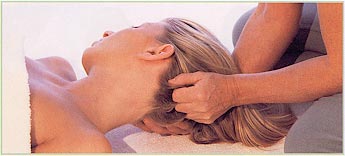 The head